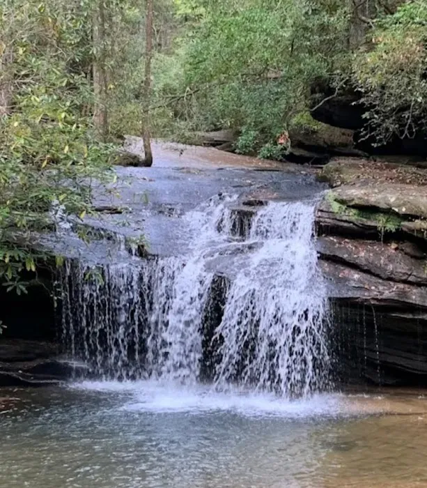 White Oaks Campground 6