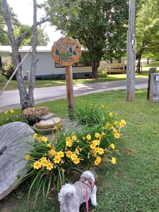 Pine Hill Park 3
