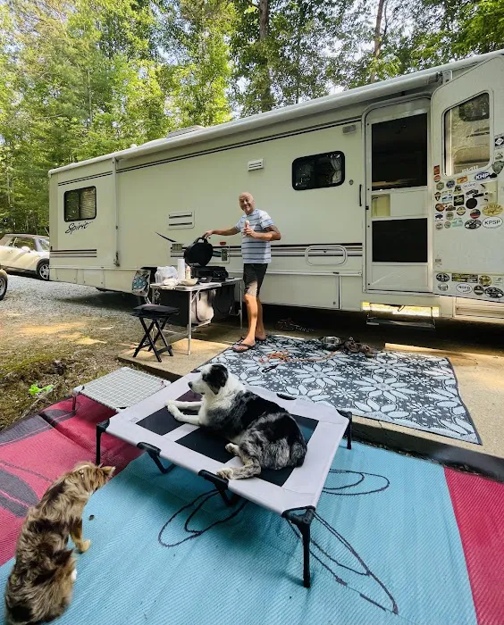 Mi Mountain Campground 4