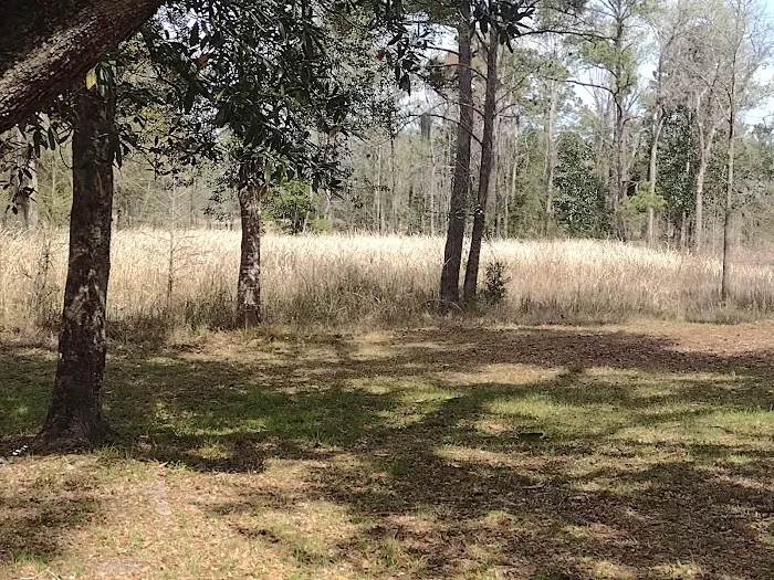 Levelset of Sumter 24