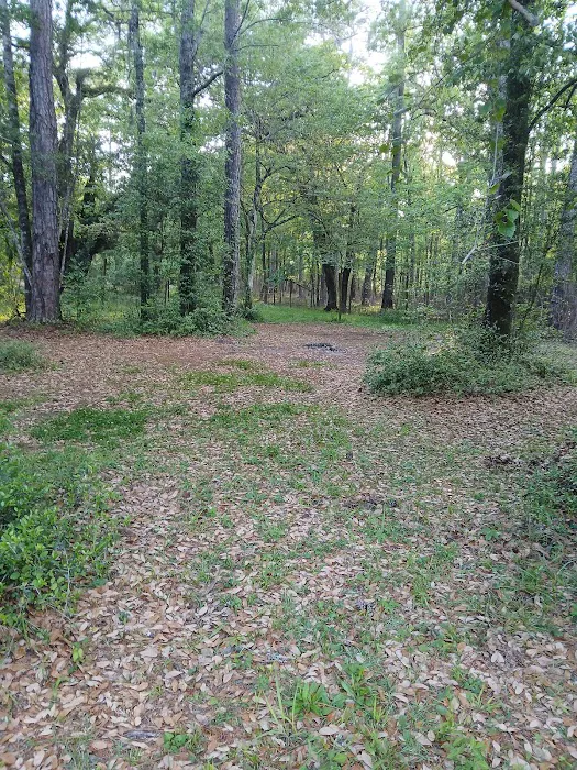 Levelset of Sumter 26