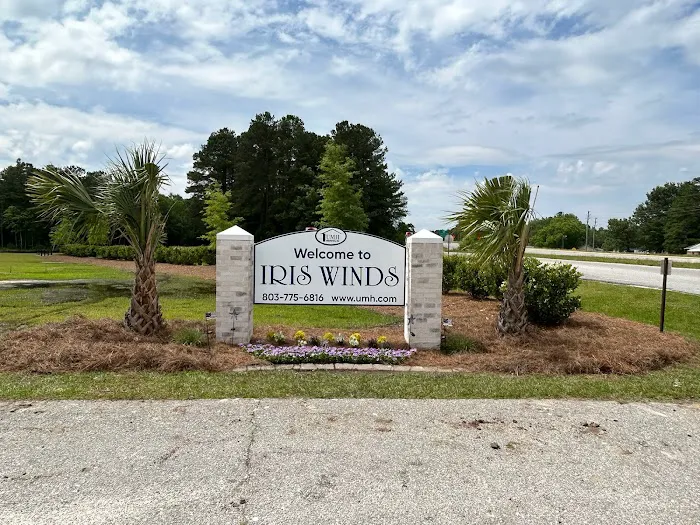 Iris Winds 12
