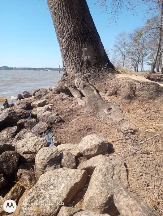 Lake Wateree Clearwater Cove 7