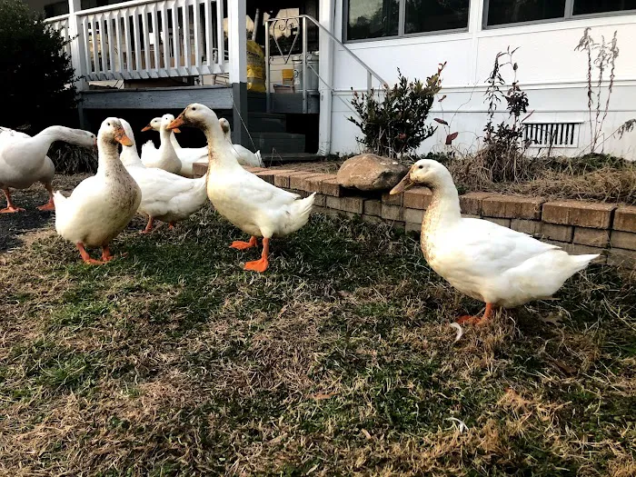 RV lot 5
