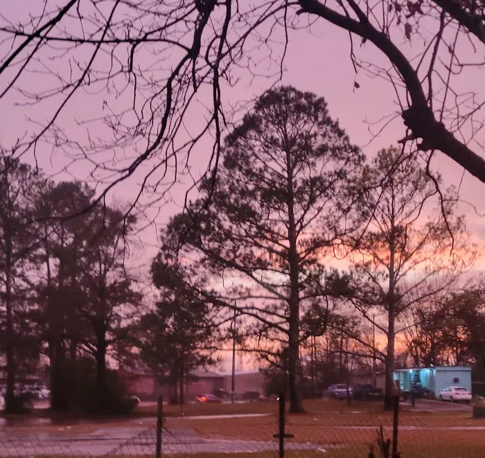 Cove Park 5