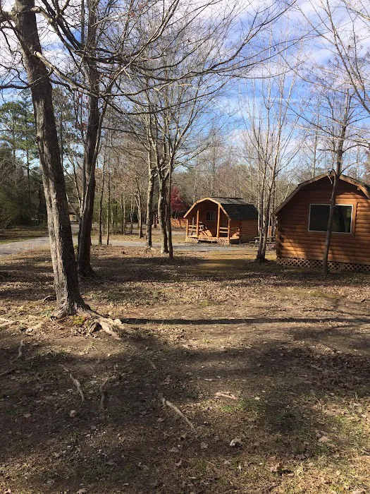 Big Cedar 9