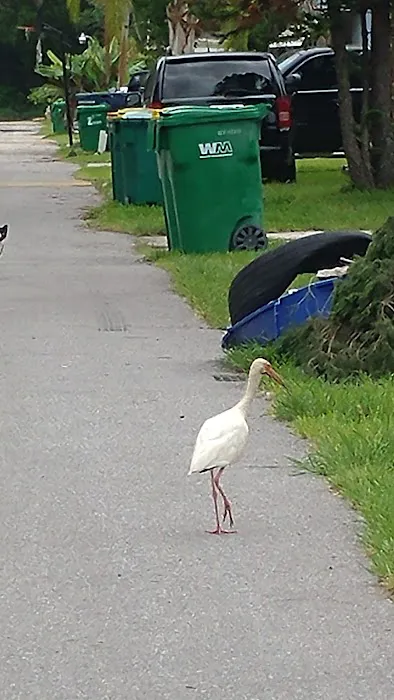 Byrd Plaza Mobile Home Park 15