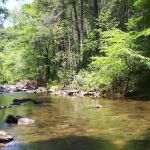 Irie Vibes Campground