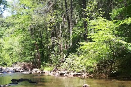 Irie Vibes Campground