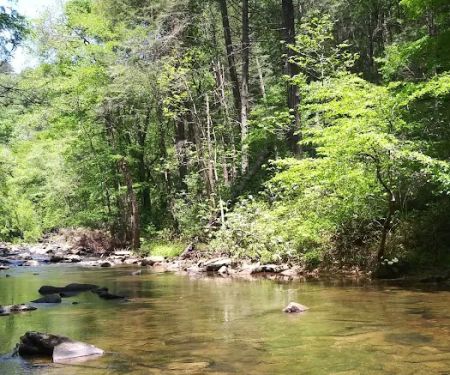 Irie Vibes Campground