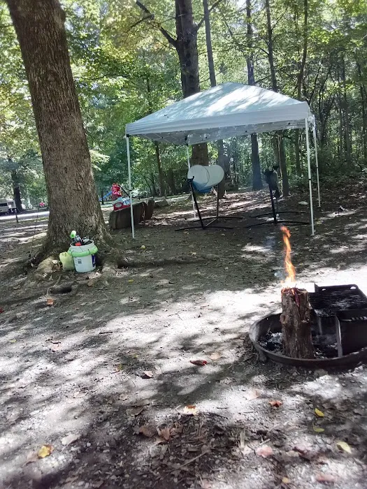 Irie Vibes Campground 5