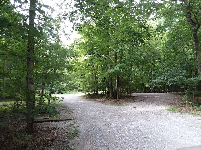 Irie Vibes Campground 10