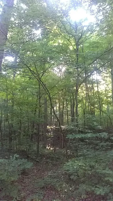 Irie Vibes Campground 11