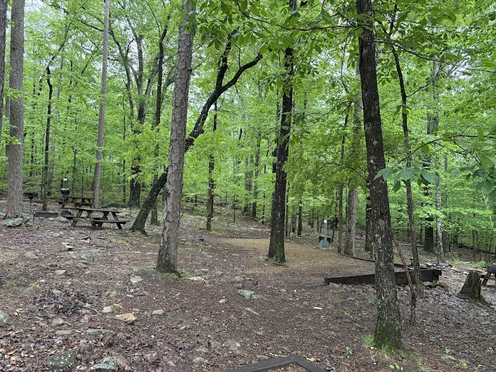 Irie Vibes Campground 19