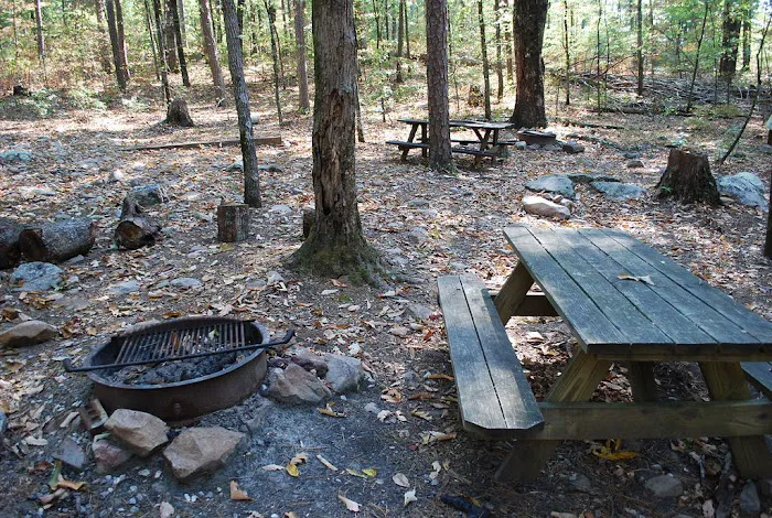 Irie Vibes Campground 21