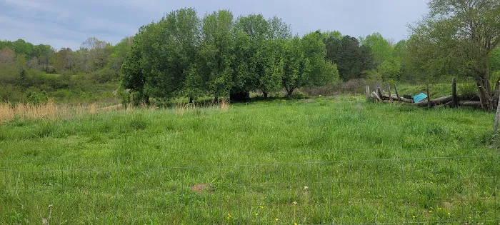 Irie Vibes Campground 23