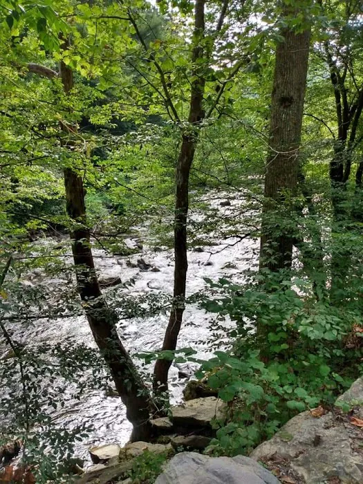 Holly Flats Campground 4