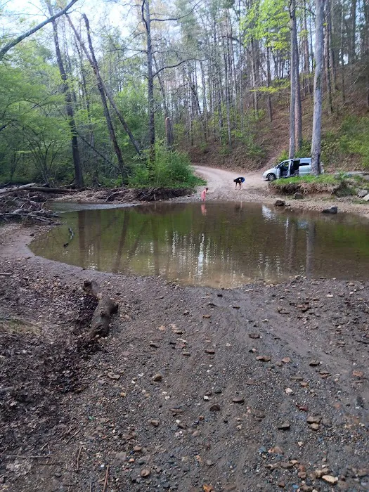 Holly Flats Campground 7