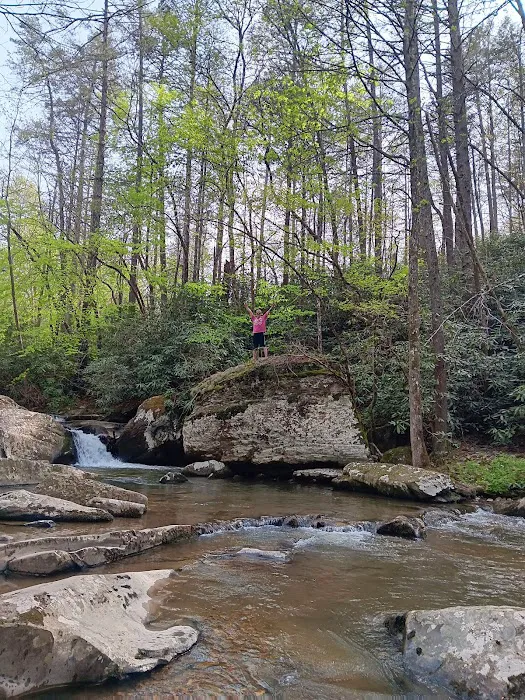 Holly Flats Campground 8