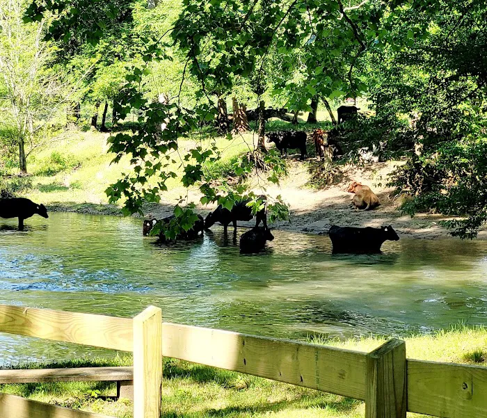 Peachtree Cove RV Park 8