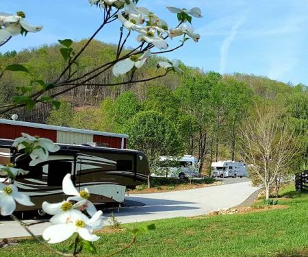 Walnut Hollow RV Ranch