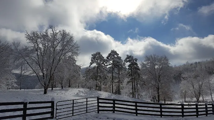 Walnut Hollow RV Ranch 4