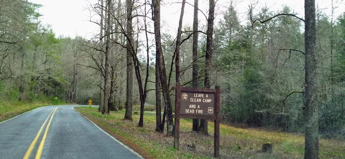 Huskins Branch Campground 1