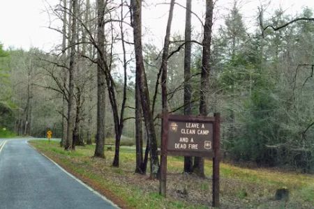 Huskins Branch Campground