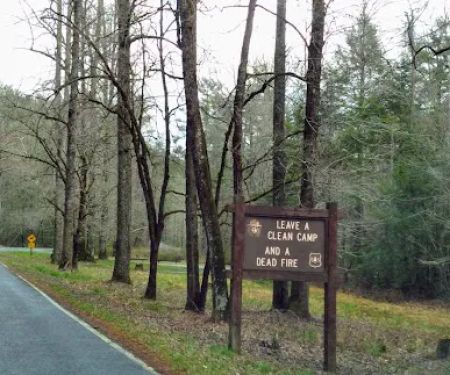 Huskins Branch Campground