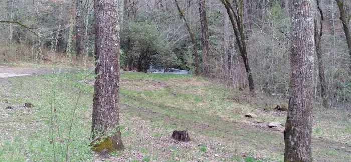 Huskins Branch Campground 6