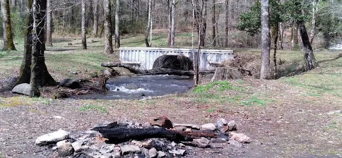Huskins Branch Campground 7
