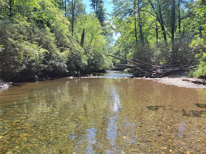 Huskins Branch Campground 8
