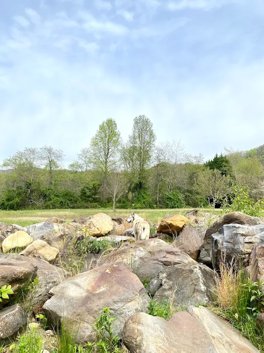Holder Cove Campground 6