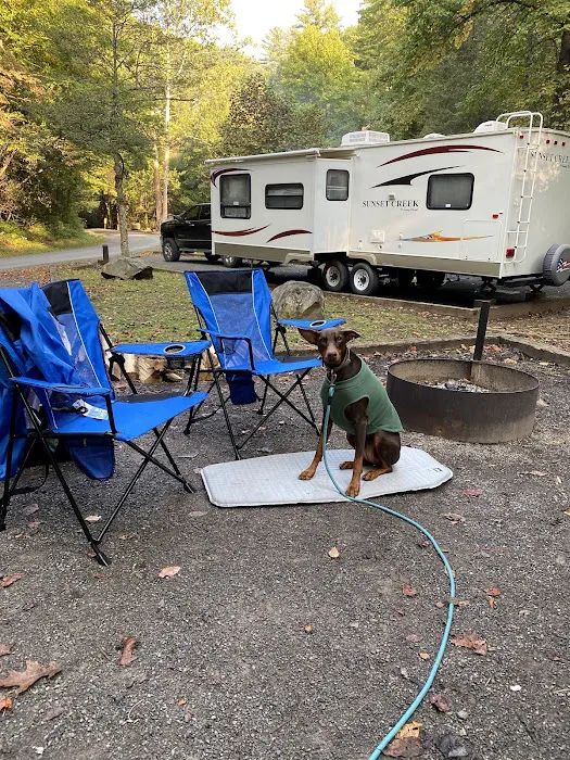 Holder Cove Campground 15