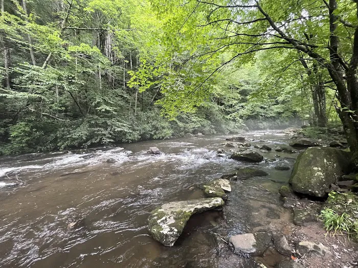 Holder Cove Campground 16