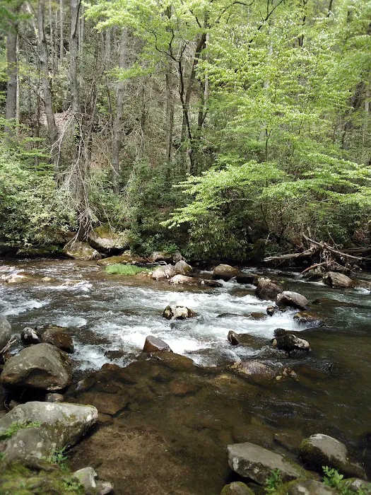 Davis Branch Campground 2