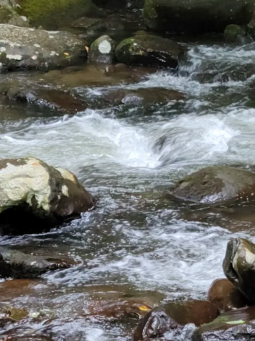 Davis Branch Campground 5