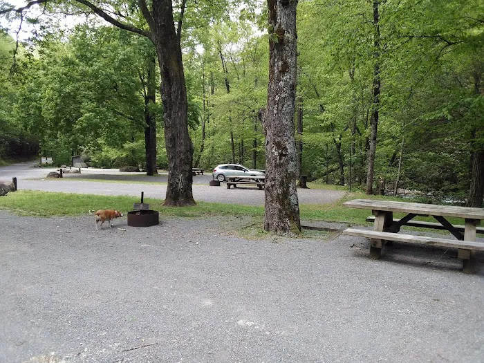 Davis Branch Campground 6
