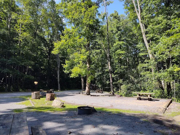 Birch Branch Campground 1