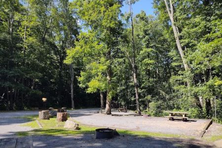 Birch Branch Campground