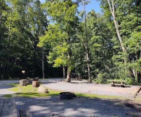 Birch Branch Campground