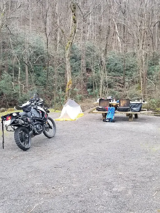 Birch Branch Campground 10