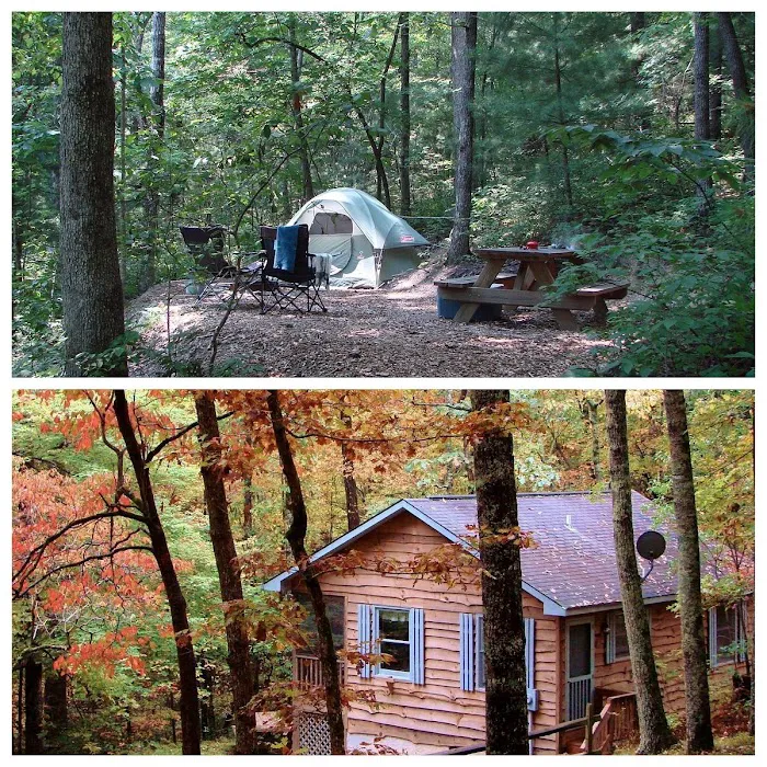 our 100 Acre Woods - Campground 3