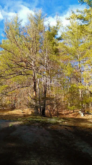 our 100 Acre Woods - Campground 9