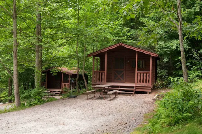 Black Forest Family Camping Resort 1