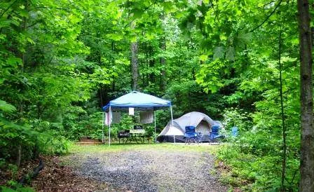 Black Forest Family Camping Resort 5