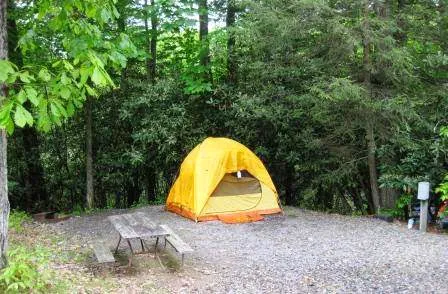 Black Forest Family Camping Resort 8
