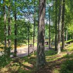 Paris Mountain State Park Campground