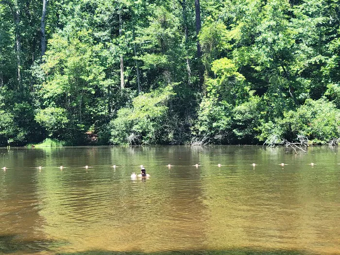 Paris Mountain State Park Campground 5