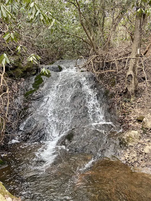 Paris Mountain State Park Campground 9